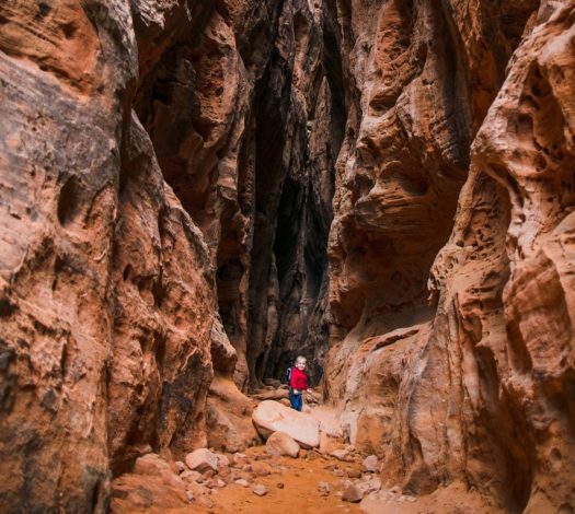 3 Amazing hikes in Utah for families with young children for Hike it Baby