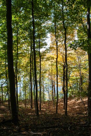 3 Beautiful Hikes for Families With Kids in Indiana by Frank Tucker for Hike it Baby