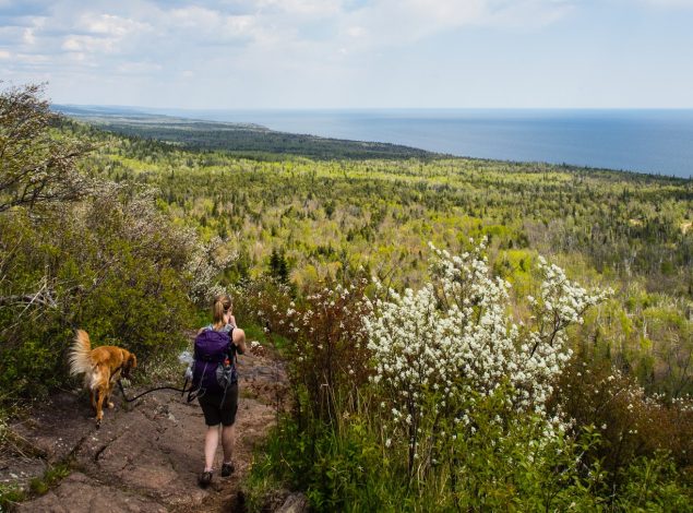 3 Great adventures in Minnesota for families with young kids by Vong Hamilton for Hike it Baby