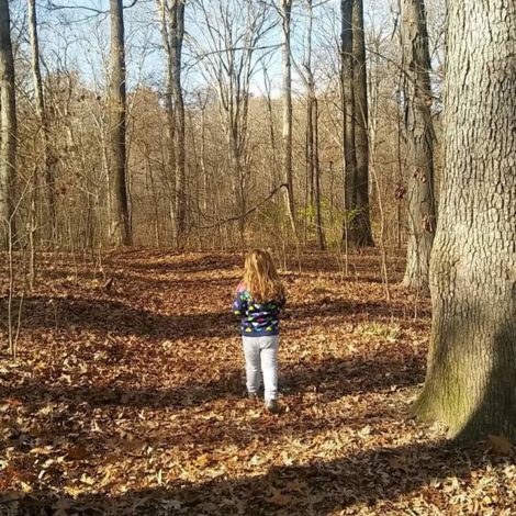 3 Hikes in Ohio for young children by Jessica Nave for Hike it Baby