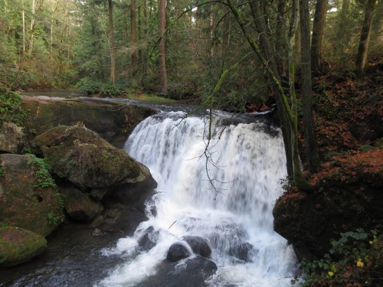 Family Hikes in Washington - Whatcom Falls