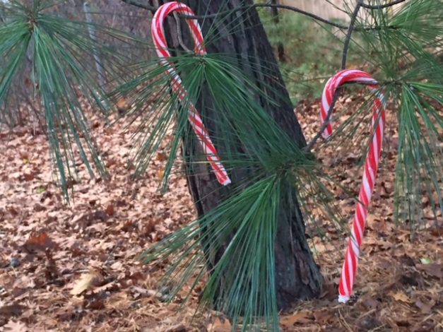 10 Fun Outdoor Family Holiday Traditions by Rebecca Hosley for Hike it Baby