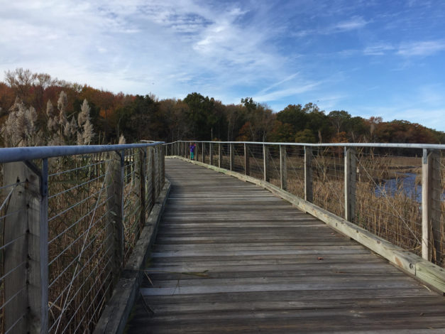 3 Memorable Trails to Explore with Children in Maryland by Rebecca Her for Hike it Baby 