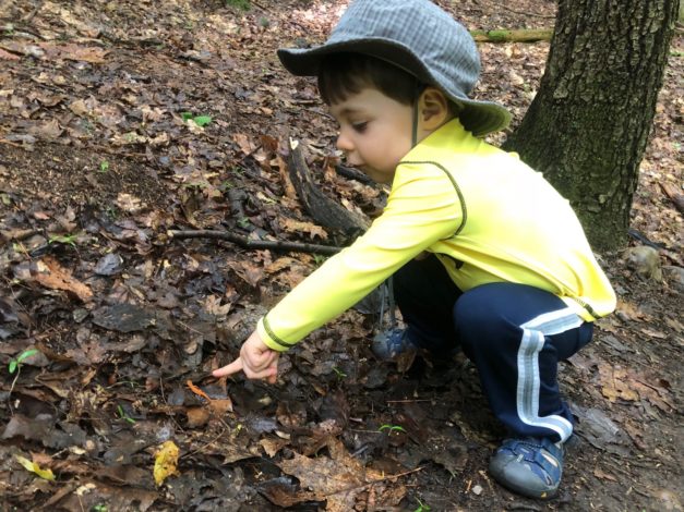 Seeing Adventure Through the Eyes of My Toddler by Rebecca Hosley for Hike it Baby
