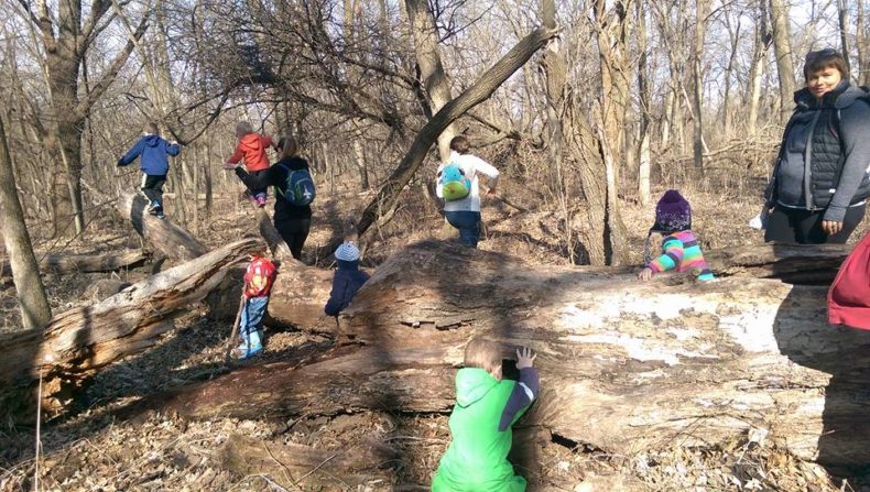 3 Kid-friendly hikes for kids in Iowa by Katy Severe for Hike it Baby