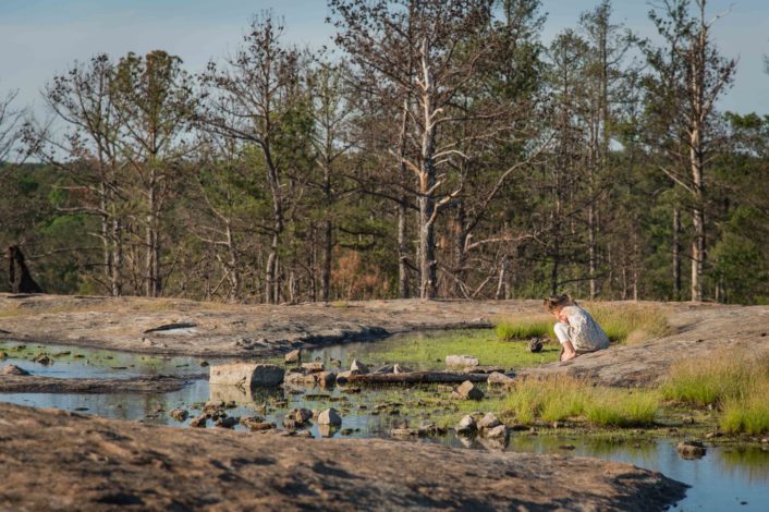 3 Unforgettable Hikes in Georgia for Young Children by Melissa Hollingsworth for Hike it Baby