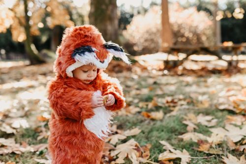 Toddler in fox costume