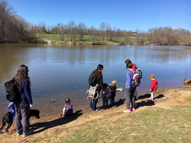 3 Scenic Hikes in Delaware to explore with young children by Rebecca Her for Hike it Baby