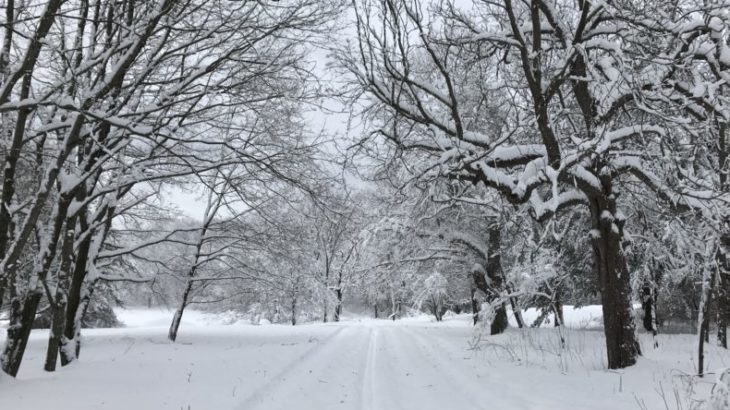 snow-covered path