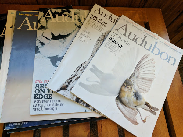 Conservationist Series-John Audubon by Jessica Nave for Hike it Baby (image of the Audubon Magazine)
