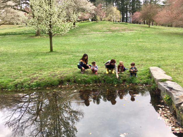 3 Scenic Hikes in Delaware to explore with young children by Rebecca Her for Hike it Baby