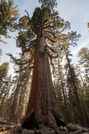 12 adventures in Yosemite for families with kids by Ryan Idryo for HIke it Baby