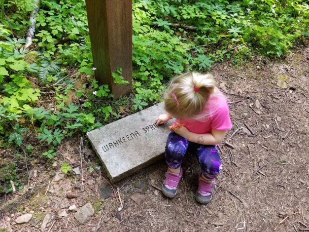 Identifying letters on the trail.