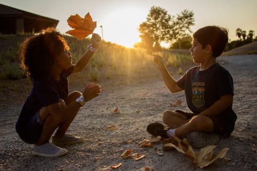 two boys looking at fall leaves