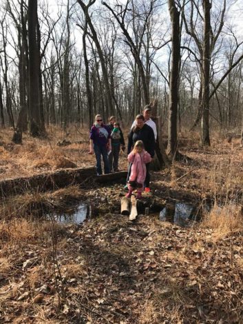 Group of hikers crossing a swamp over a log brdge