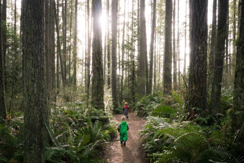 Family Hikes in Washington - Paradise Valley