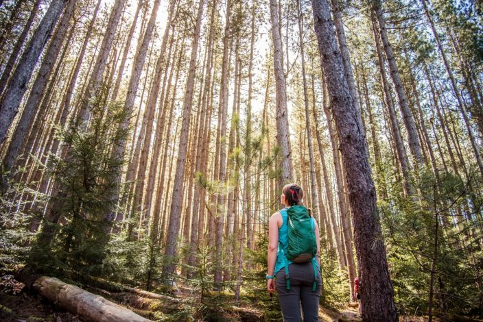 5 Hiking essentials that are worth your money by Julie McNulty for Hike it Baby