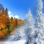 Transitioning the Seasons - Learning to adapt from a warm climate to frozen winter (2)