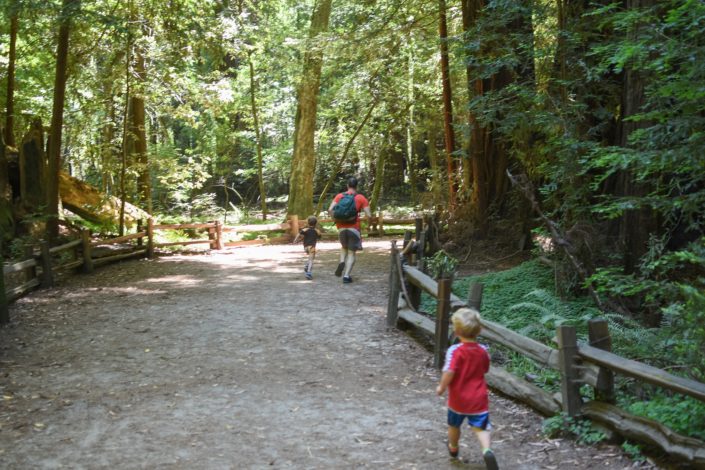 California trails for Hike it Baby