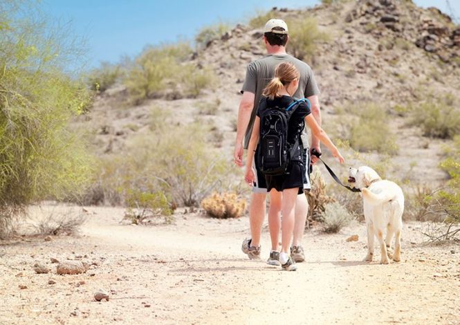 3 Family-Friendly Hikes in Arizona by Frank Tucker for Hike it Baby