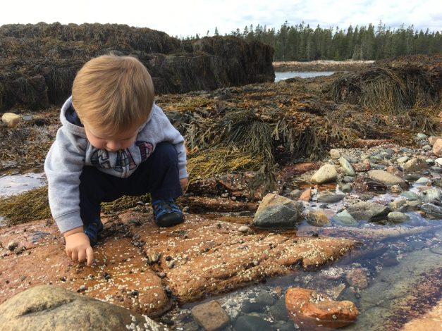 10 places to visit in Acadia National Park with kids by Natalie Kendrach for Hike it Baby