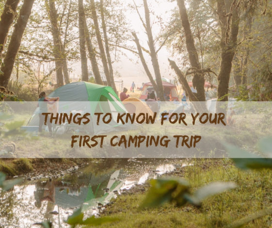 Things to Know for Your First Camping Trip by Lisa Boness for Hike it Baby