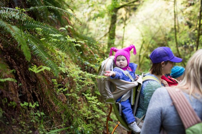 Intro to Family Hiking Plants & Animals