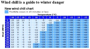 Transitioning the Seasons - Learning to adapt from a warm climate to frozen winter (3)