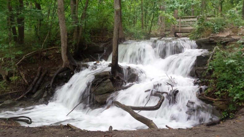 3 Trails to explore in Missouri with young children by Vong Hamilton for Hike it Baby