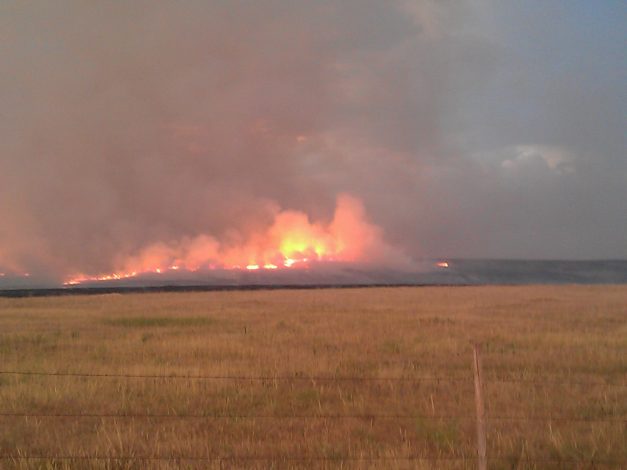 The Science Behind Wildfires: The Good and the Bad by Rebecca Hosley for Hike it Baby