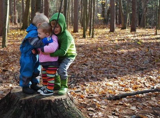 Love, Happiness & Friendship: Making Moving Easer by Carrie Wenzel for Hike it Baby (image of two children hugging a third child, while standing on a tree stump in the middle of a wooded forest)