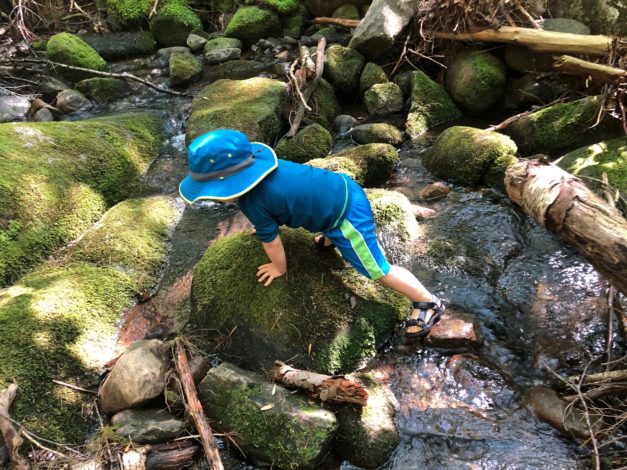 Seeing Adventure Through the Eyes of My Toddler by Rebecca Hosley for Hike it Baby