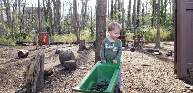 Learning in nature: programs that promote love for nature by Becca Hosley for Hike it Baby