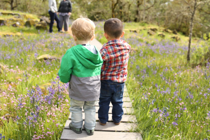 Two toddler boys on an earth day hike surrounded by flowers