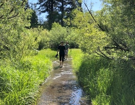 15 Fun Things to do with Kids in Lake Tahoe in the Summer by Joe Linehan for Hike it Baby