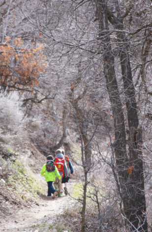 kids on a wooded trail 