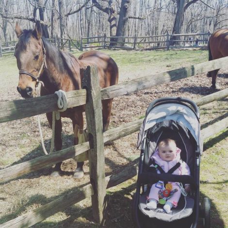 Bee loves horses, just like her mama. She was fascinated with the horses at the April 2016 Jockey Hollow re-enactment days. 