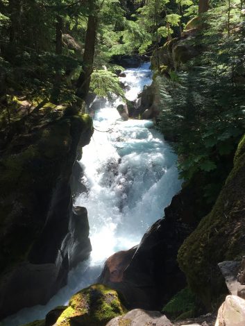 10 Unforgettable things to do in Glacier National Park with kids by Steven Smith for Hike it Baby