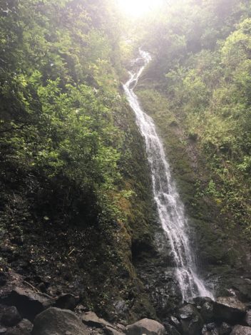 3 Stunning Trails in Hawaii by Vong Hamilton for Hike it Baby