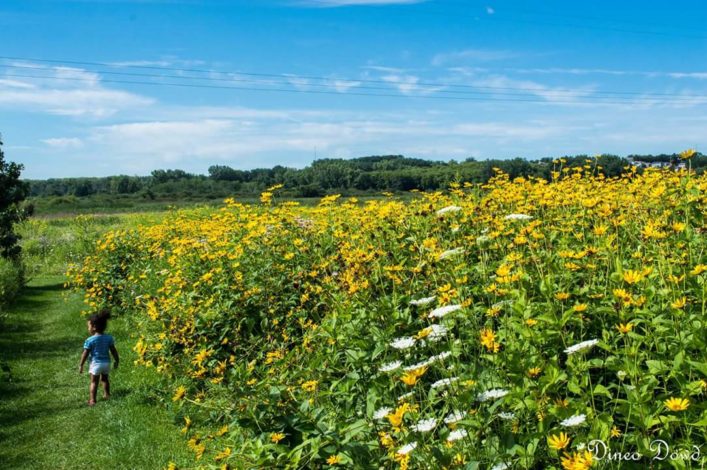 Wisconsin hiking trails by Heidi Schertz for Hike it Baby