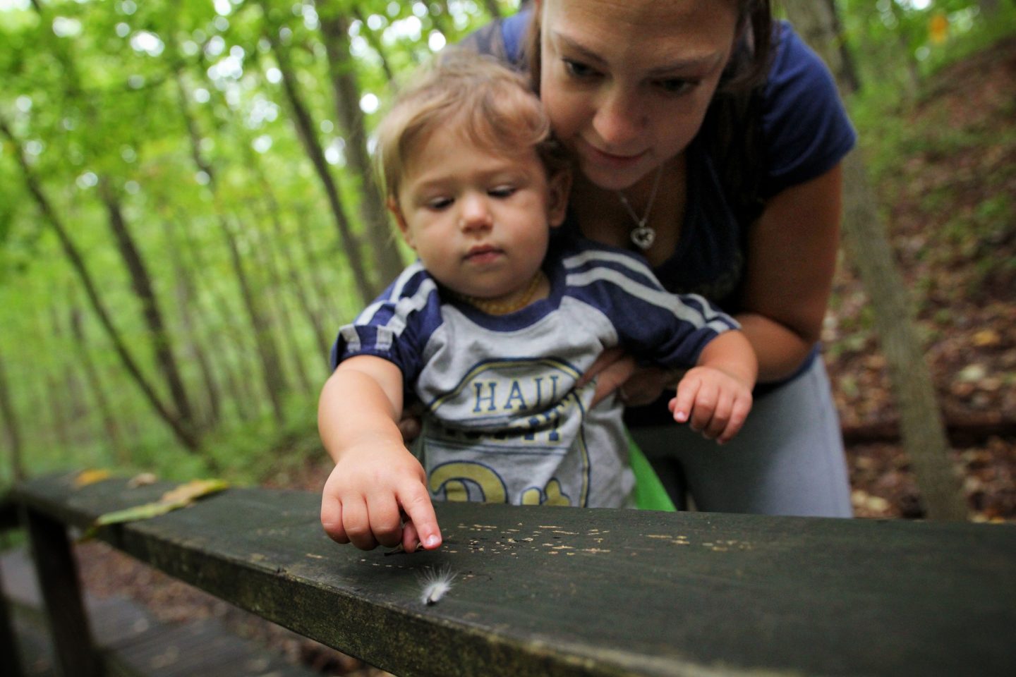 The Natural World by Alexandra Vollman for Hike it Baby