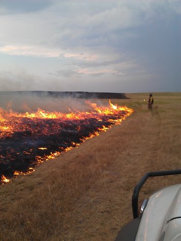 The Science Behind Wildfires: The Good and the Bad by Rebecca Hosley for Hike it Baby