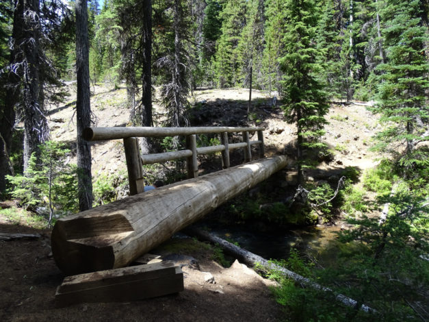 View of the Tumalo Falls trail in the summer, featuring a log bridge