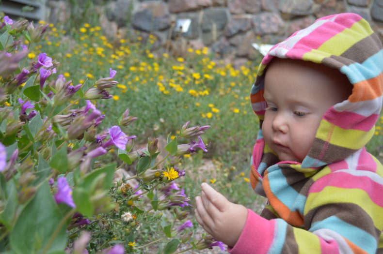 baby in field of flowers