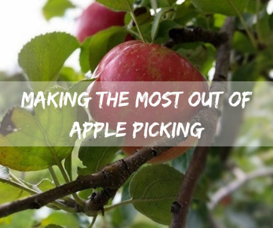 Making the Most Out of Apple Picking by Jessica Nave for Hike it Baby