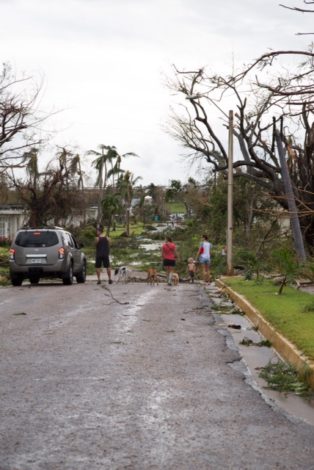 Puerto Rico: Finding the calm after the storm by Nicole Hammond for Hike it Baby