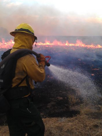 The Science Behind Wildfires: The Good and the Bad by Rebecca Hosley for Hike it Baby