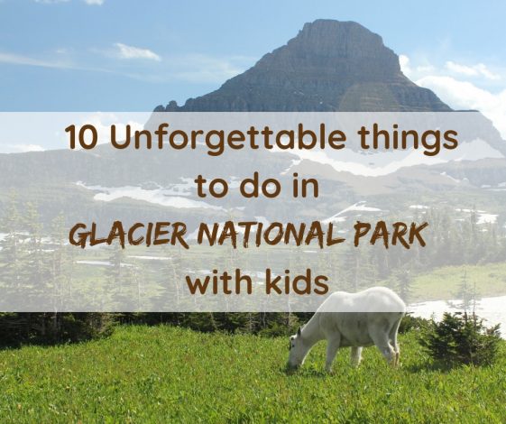 10 Unforgettable things to do in Glacier National Park with kids by Steven Smith for Hike it Baby