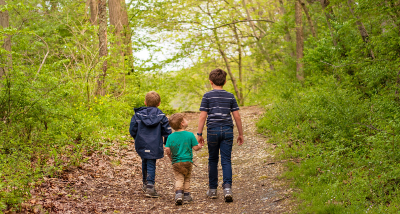 three children walking on a trail in the woods